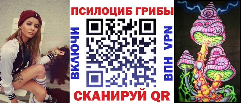 Галлюциногенные грибы Psilocybine cubensis  закладки  Шатура 